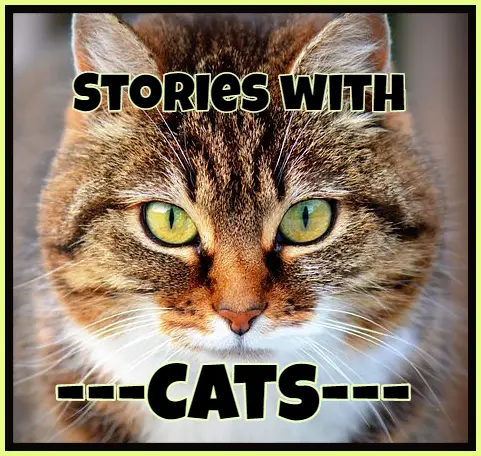 Short Stories About Cats