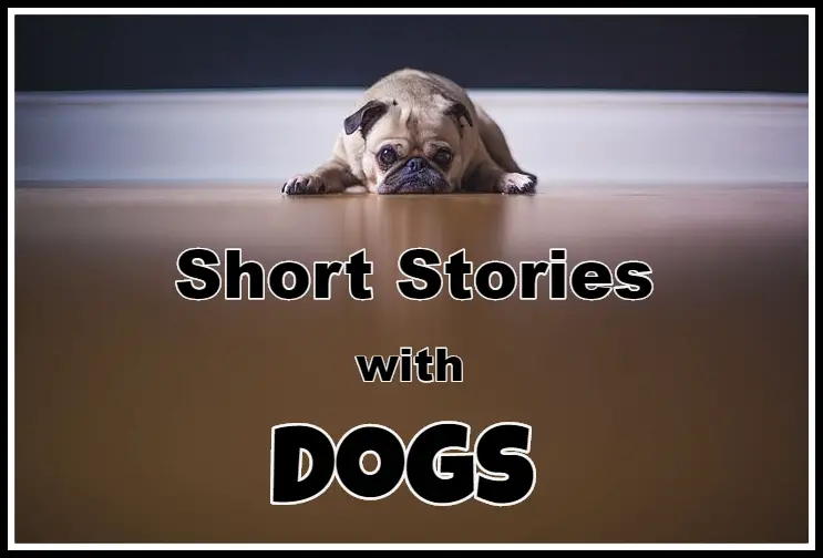 Short Stories About Dogs