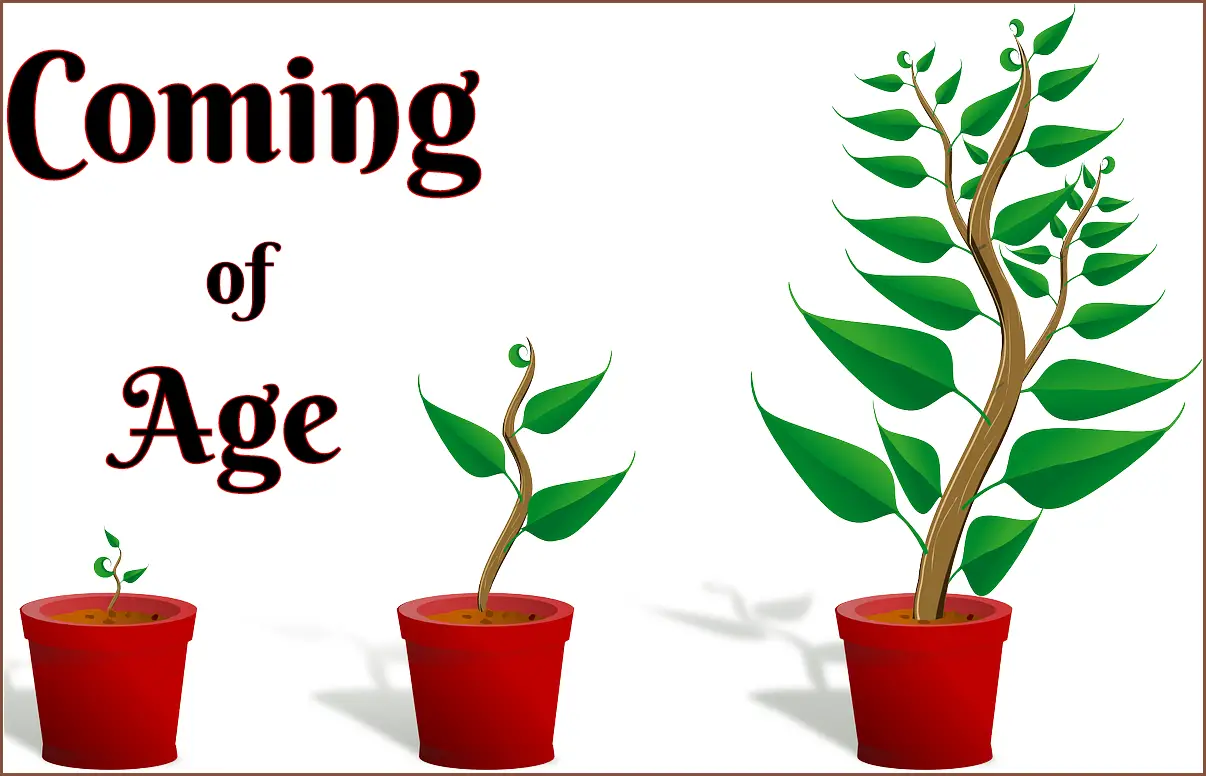 Coming of Age Short Stories