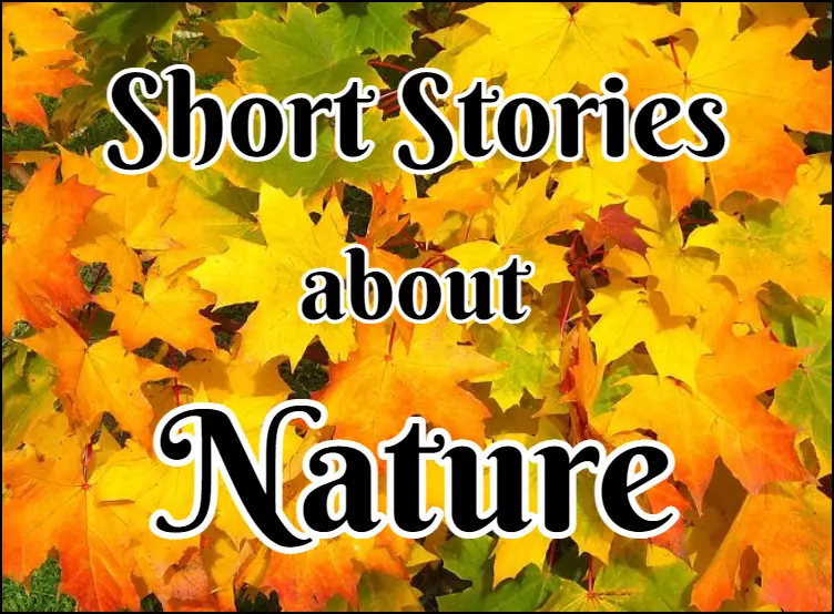 Nature4 Short Story Guide