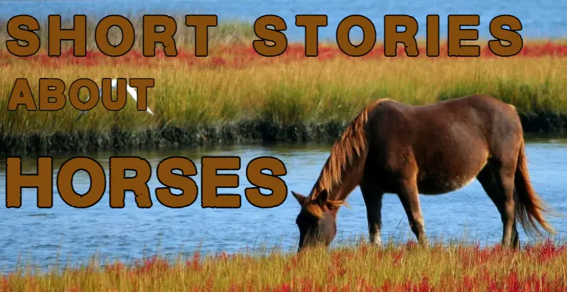 Short Stories About Horses Ponies