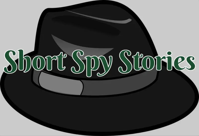 spy short story examplesspy stories