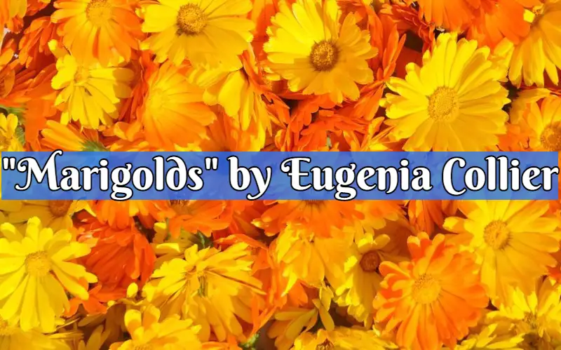 Marigolds Summary by Eugenia Collier Analysis Themes sparknotes short story