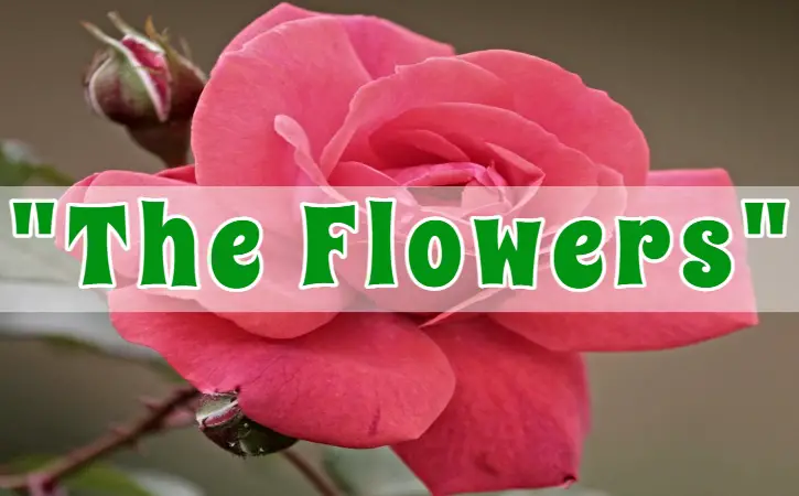 The Flowers by Alice Walker Sparknotes Analysis Summary Theme