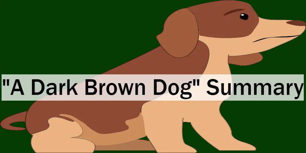 "A Dark Brown Dog" summary stephen crane synopsis