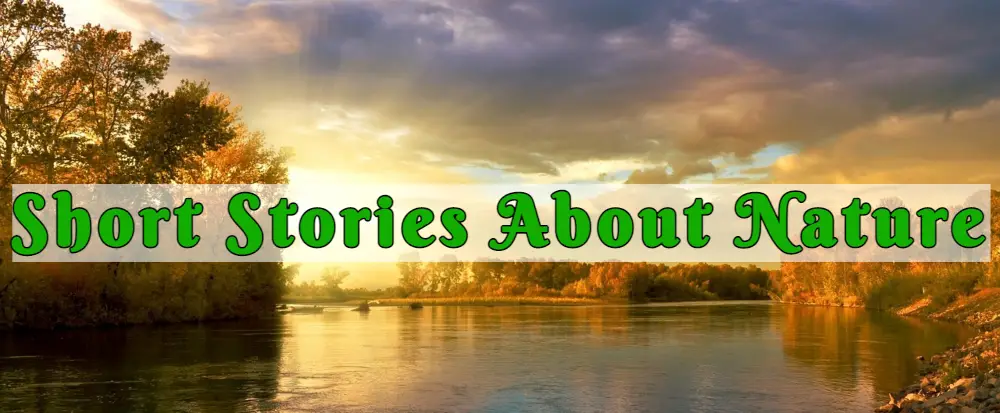 Short Stories About Nature Environment