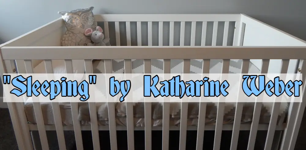 "Sleeping" by Katharine Weber Summary Analysis Theme Foreshadowing