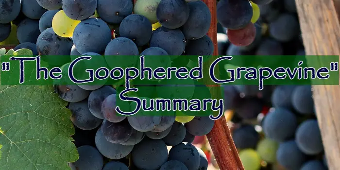 The Goophered Grapevine Summary by Charles W. Chesnutt