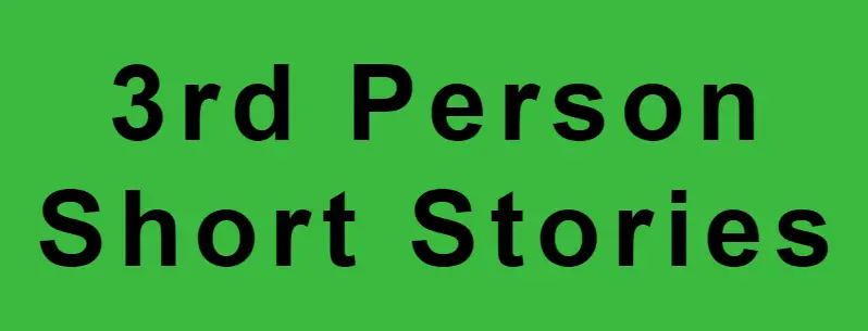 Third Person Short Stories Examples Written in 3rd Person POV