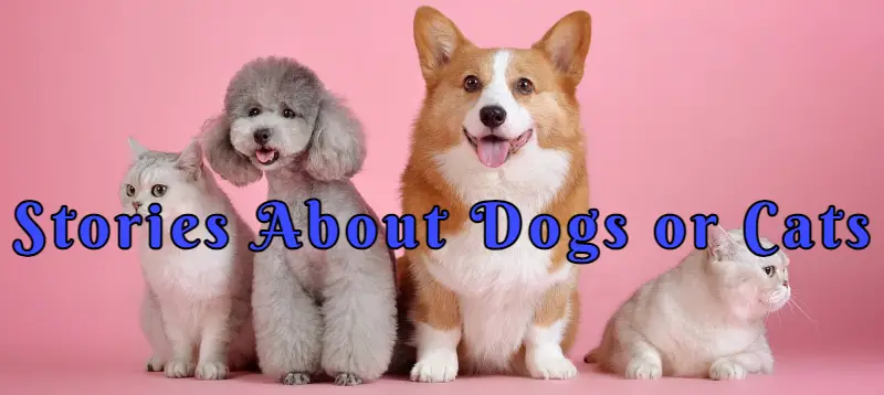 Short Stories About Dogsshort stories about Cats