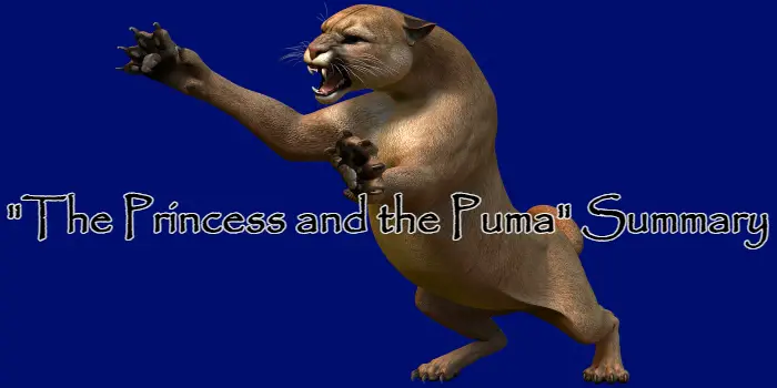 The Princess and the Puma SummaryO Henry Plot Synopsis