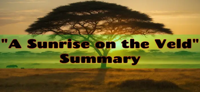 A Sunrise on the Veld SummaryDoris Lessing Short Story Plot Synopsis