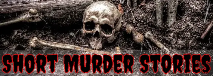 Murder Story: Short Murder Stories with Mystery