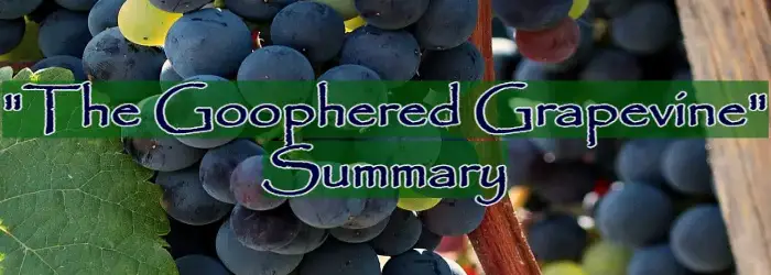 The Goophered Grapevine Summary by Charles W. Chesnutt