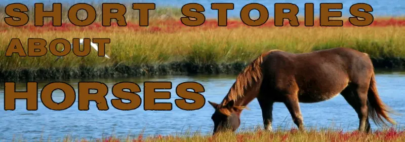 Short Stories About Horses or Ponies