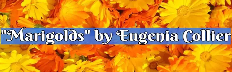 Marigolds Story Summary Eugenia Collier Short Story Analysis Themes Sparknotes