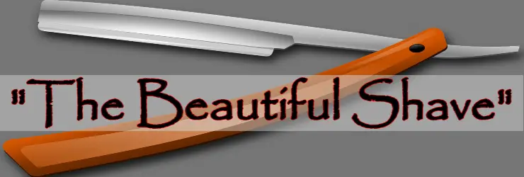 The Beautiful Shave Ray Bradbury Summary